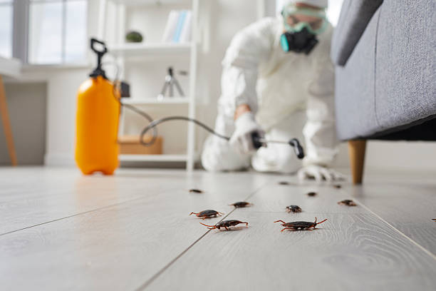 Commercial Kitchen Cockroach Control in Dahlgren